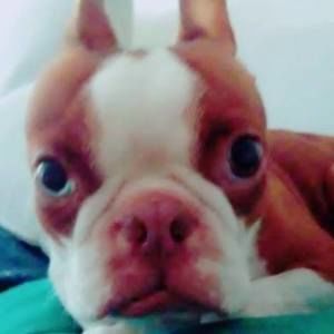 Meet your Posher, Elizabeth